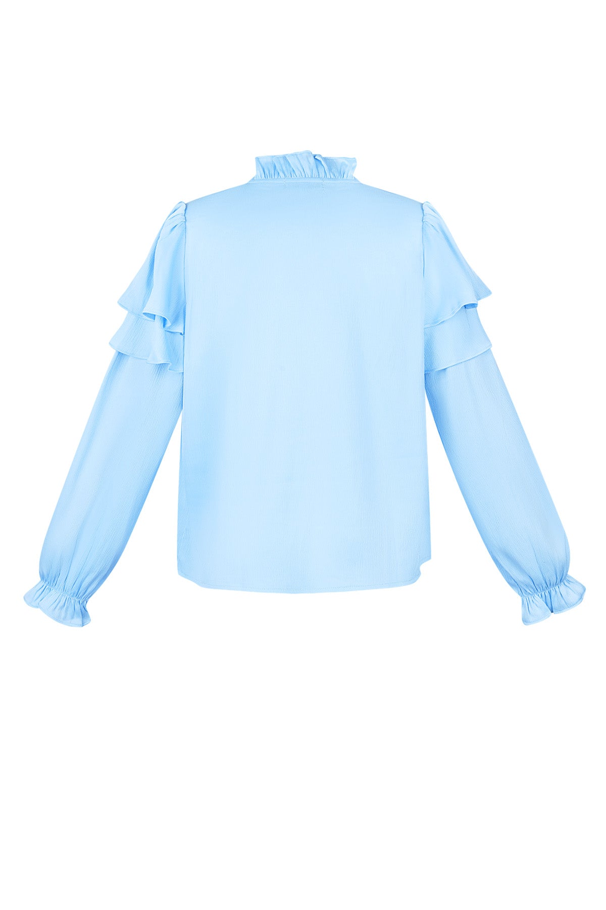 Ruffled Sleeve Top